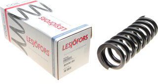Lesjofors 4027668