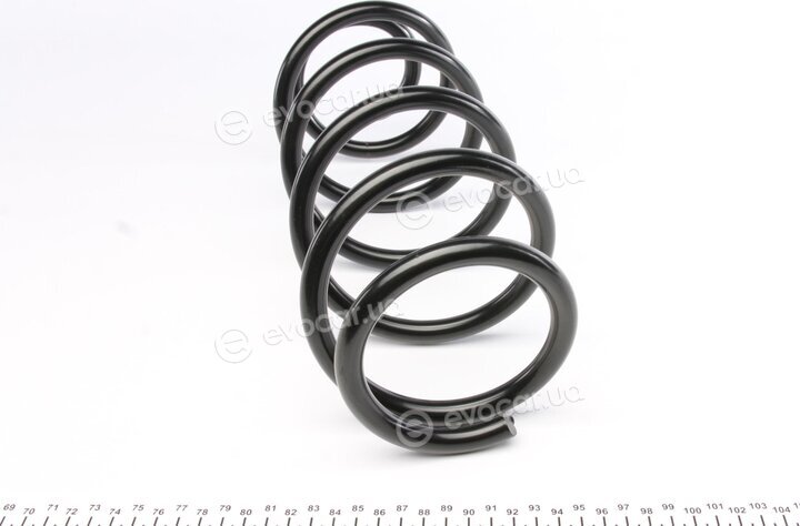 Lesjofors 4255441