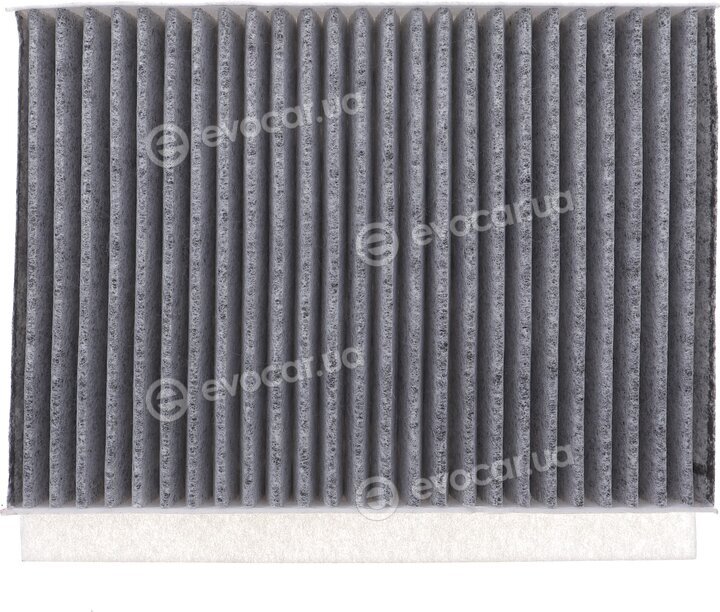 Solgy 104104