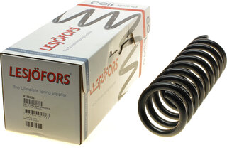 Lesjofors 4256821