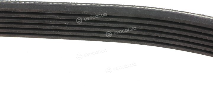 Dayco KPV474
