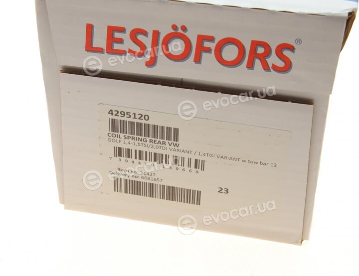 Lesjofors 4295120