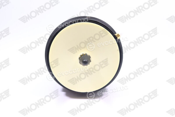 Monroe ASP018