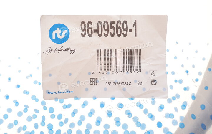 RTS 96-09569-1