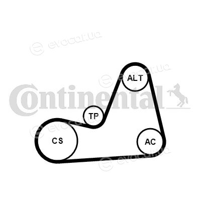 Continental 6PK1100K1