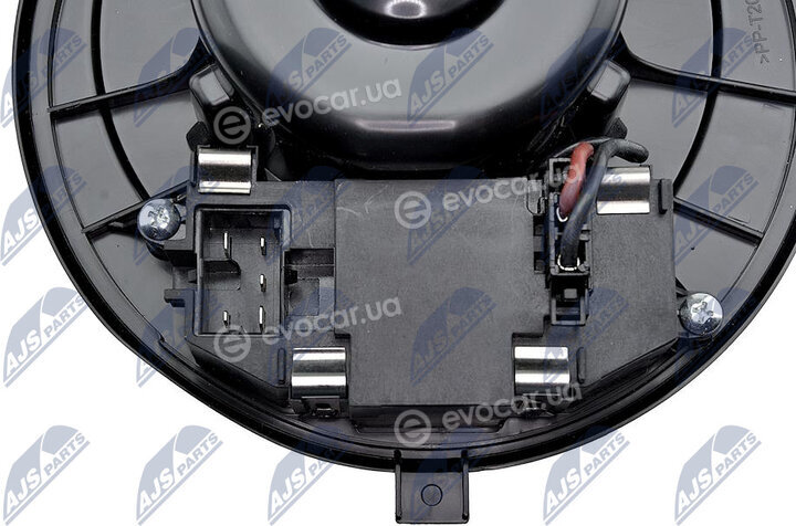 NTY EWN-VW-007