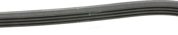 Continental 4PK867 ELAST