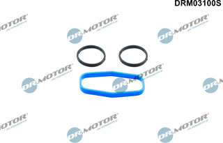 Dr. Motor DRM03100S