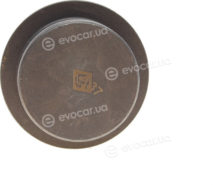 Solgy 203156