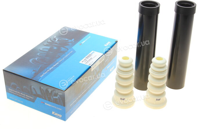 Kavo SPK-10023