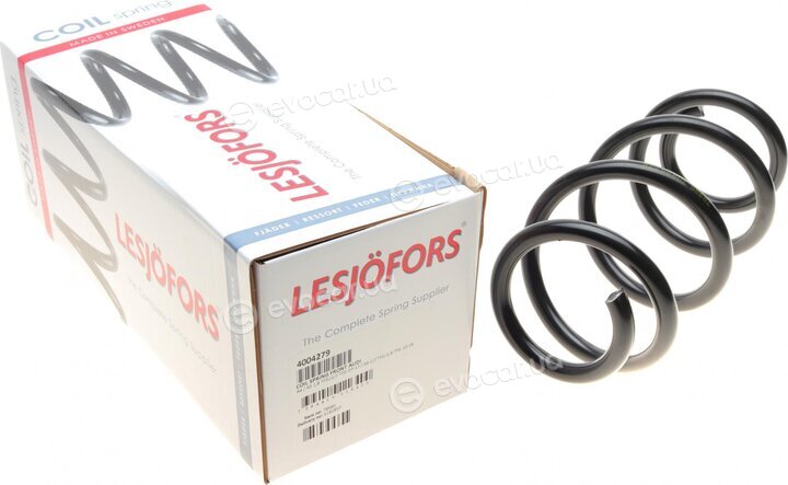 Lesjofors 4004279