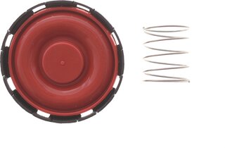 Solgy 124039