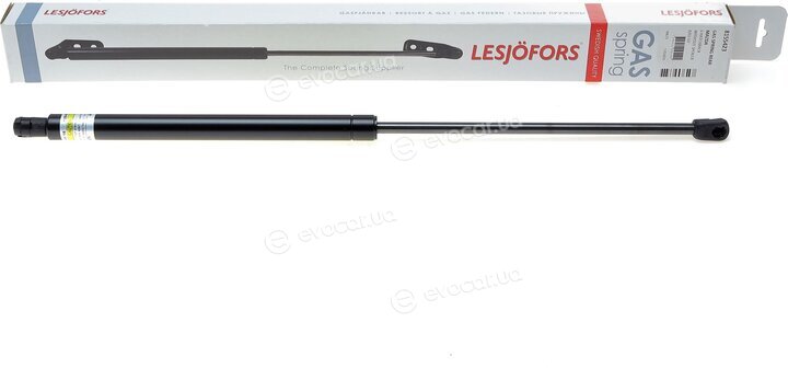 Lesjofors 8155423