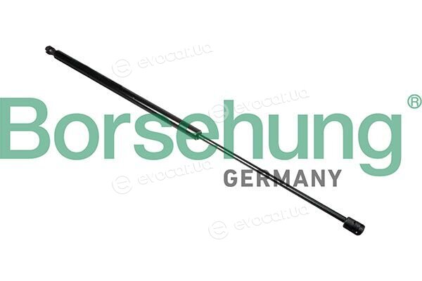Borsehung B12074