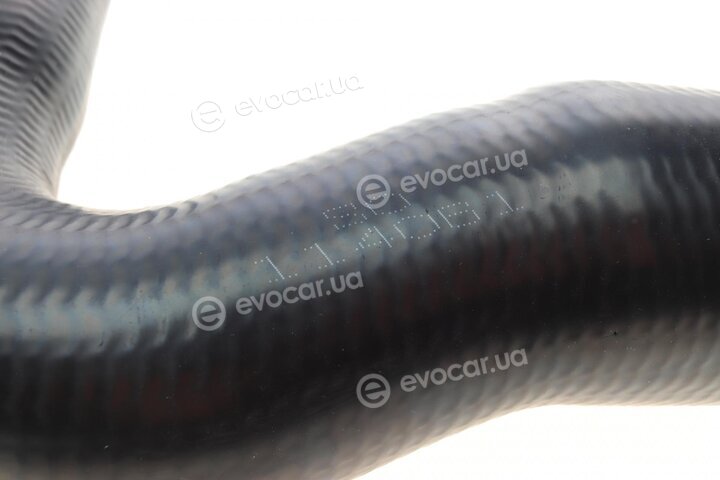 Solgy 114061