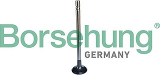 Borsehung B13247