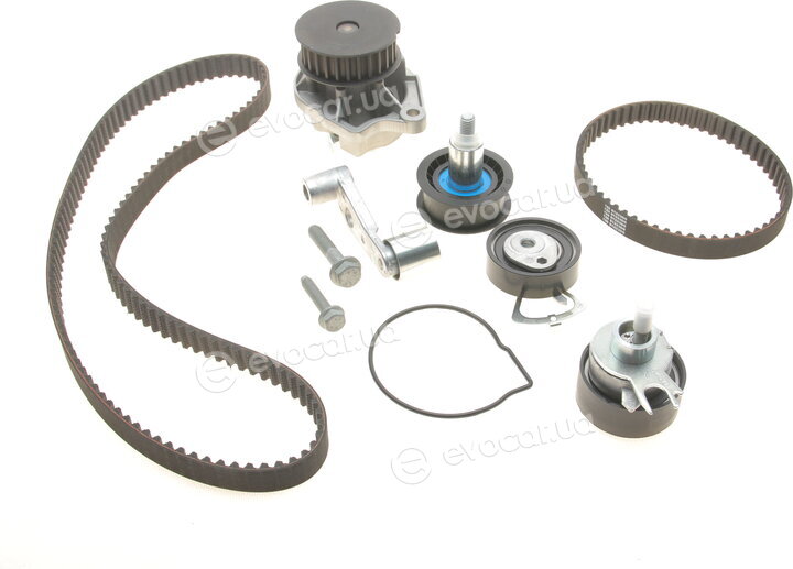Gates KP25565XS-1