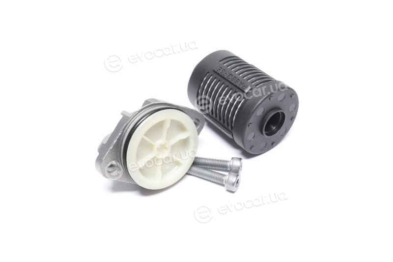 BorgWarner DS2002968