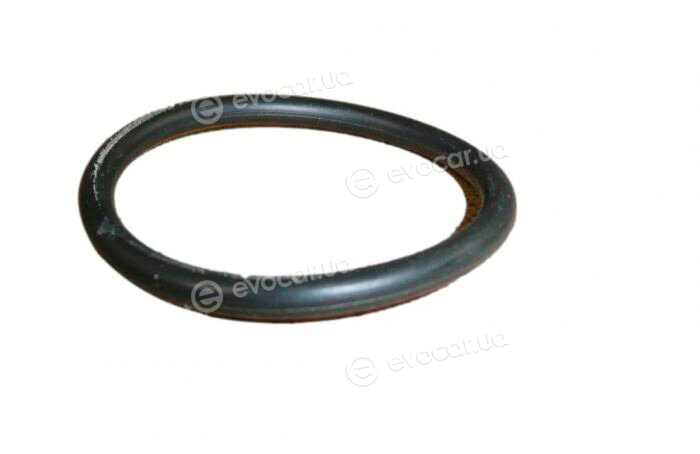 Mopar (PSA / FCA) 9653942480