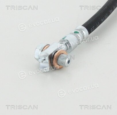 Triscan 8150 29116