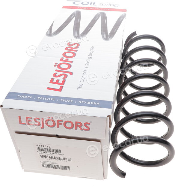Lesjofors 4227586