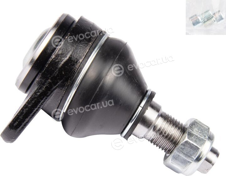 Raiso RL251361W
