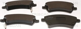 Triscan 8110 13058