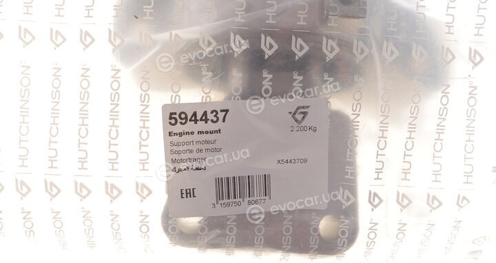 Hutchinson 594437