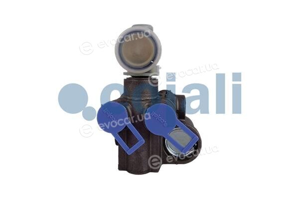 Cojali 2314114