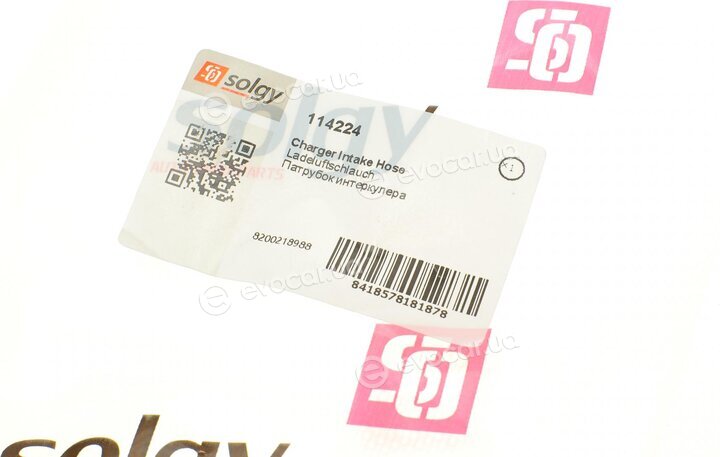 Solgy 114224