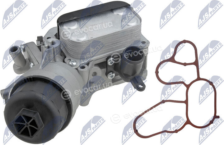 NTY CCL-PL-008