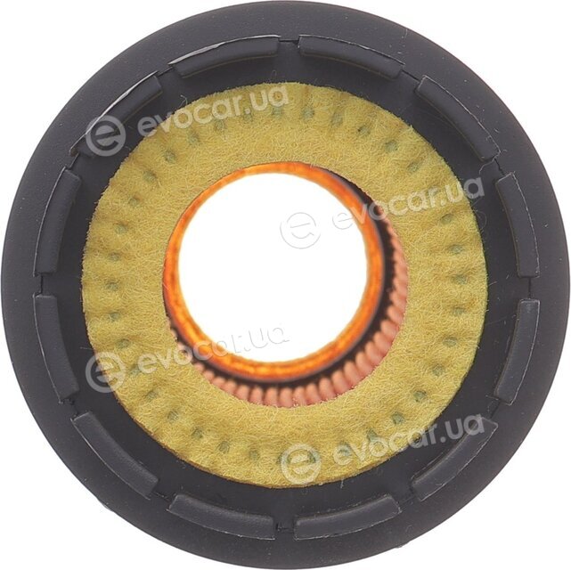 Solgy 102092