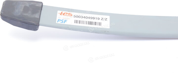 TES 50034049919 Z/Z