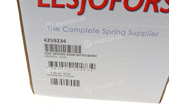 Lesjofors 4259234