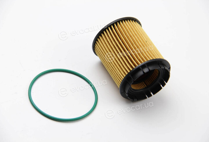 Mahle OX 258D