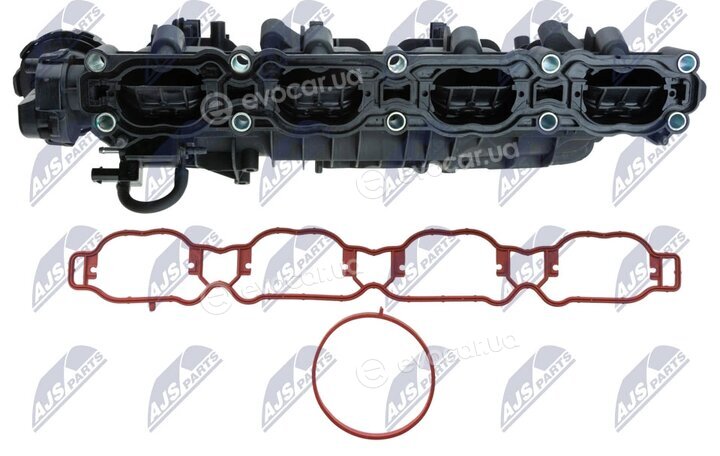 NTY BKS-VW-031