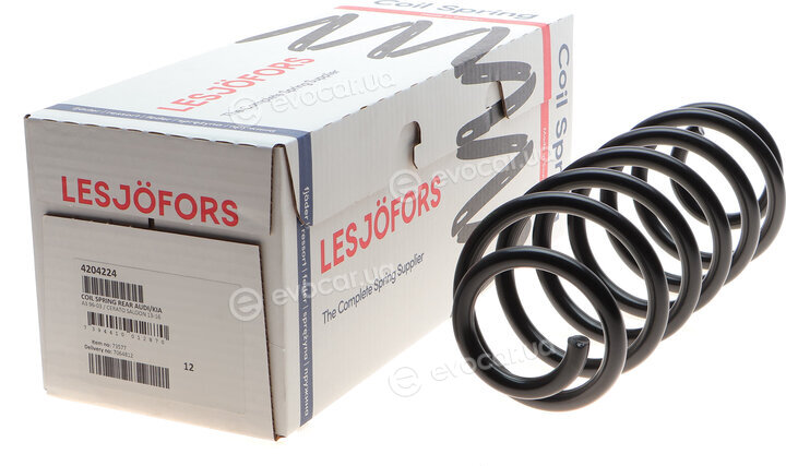 Lesjofors 4204224