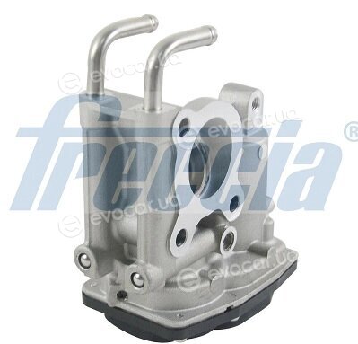 Freccia EGR12-197