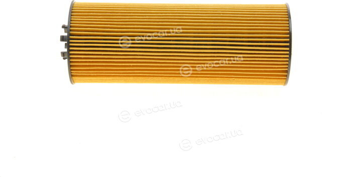 Borsehung B10544