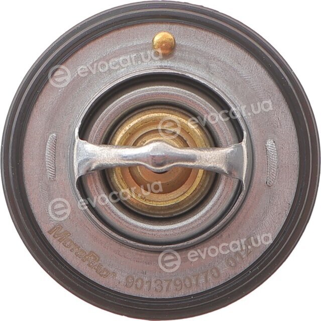 Motorad 1379-77K