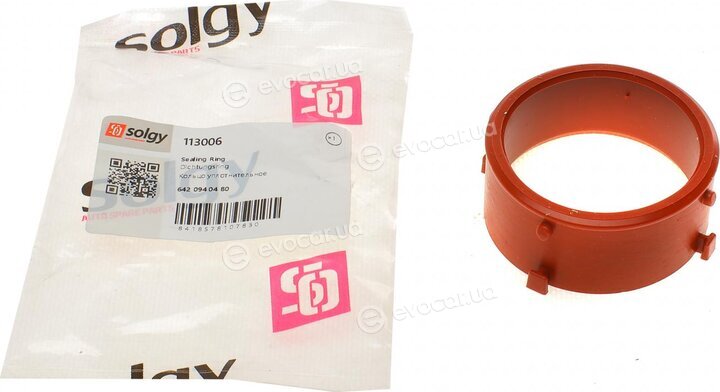 Solgy 113006