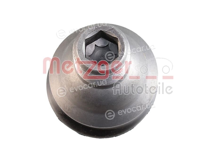 Metzger 57031508
