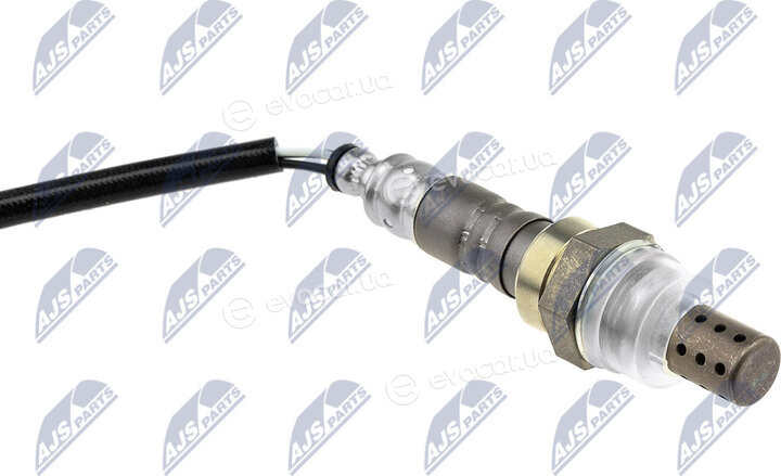 NTY ESL-MS-010