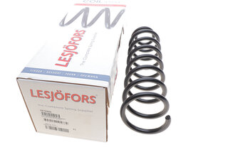 Lesjofors 4272933