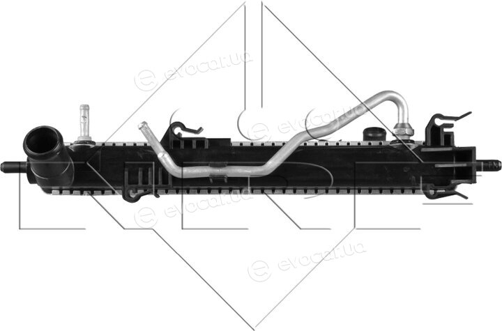 NRF 58556