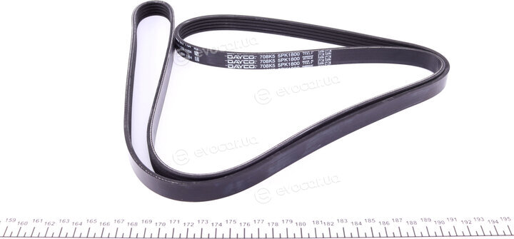 Dayco 5PK1800