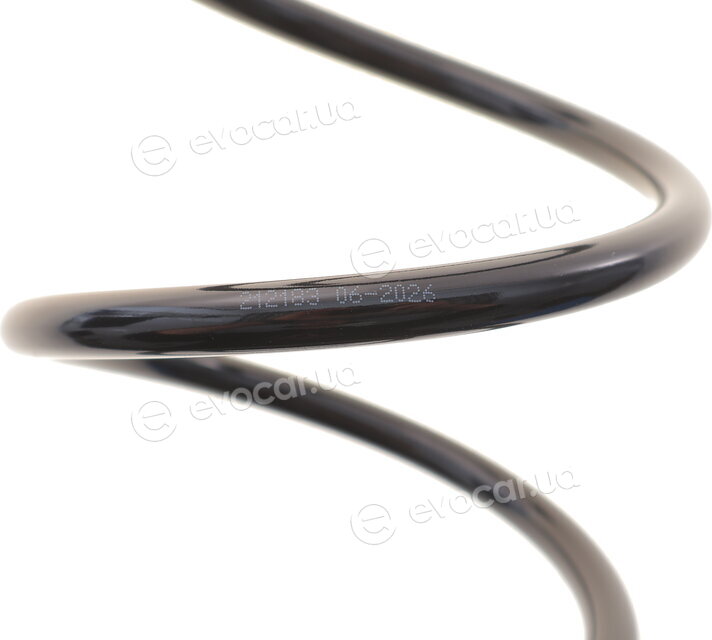 Solgy 212183
