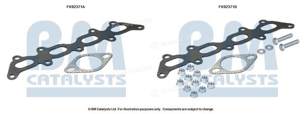 BM Catalysts FK92371