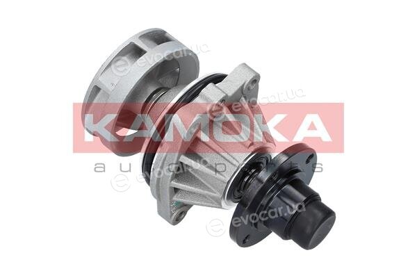 Kamoka T0058