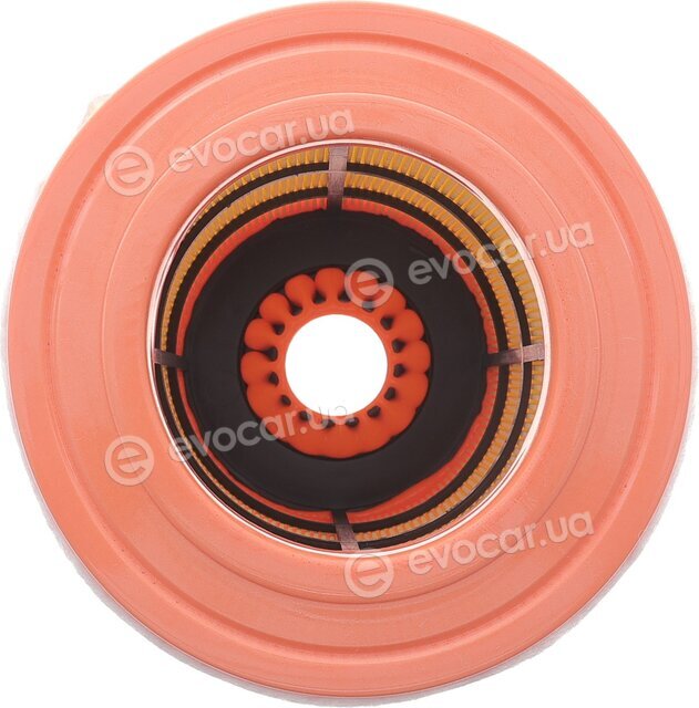Solgy 103162